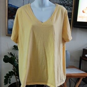 Woman Within V-Neck T-Shirt Petite 2X